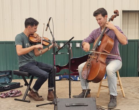 Musicians playing instruments