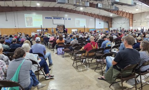 Auction in progress